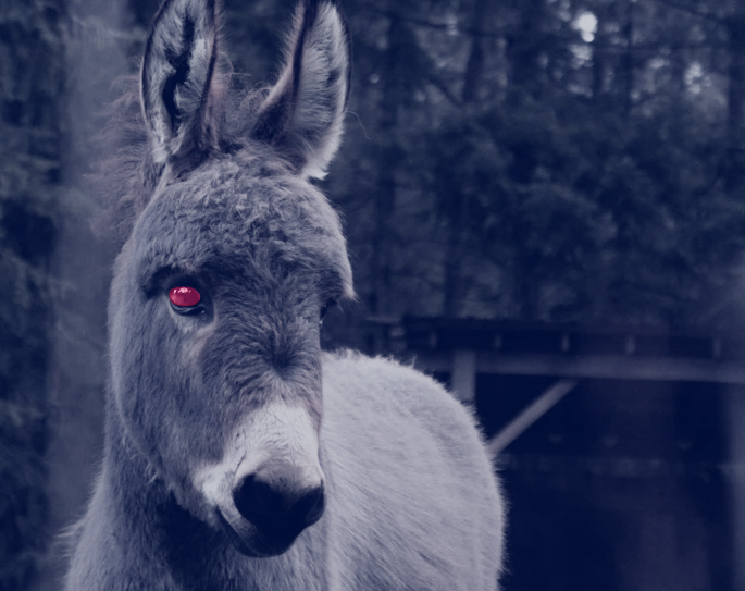 A donkey with red, glowing eyes